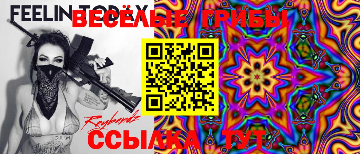 Псилоцибиновые грибы Psilocybine cubensis Саров